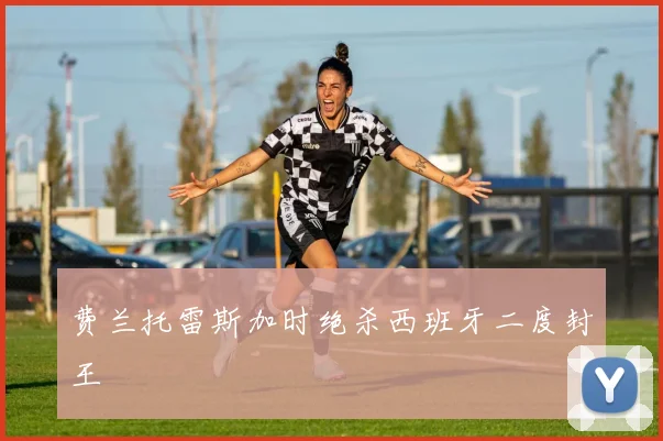 费兰托雷斯加时绝杀西班牙二度封王